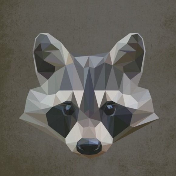 stylized_racoon